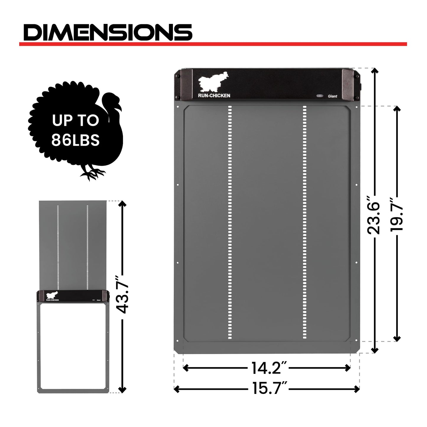 RUN-CHICKEN Door Giant – Large Automatic Poultry Coop Door for Ducks & Turkeys, Not for Chickens, Battery Powered/Solar Compatible, Heavy-Duty Aluminum, Predator Proof, Easy Install (Gray)